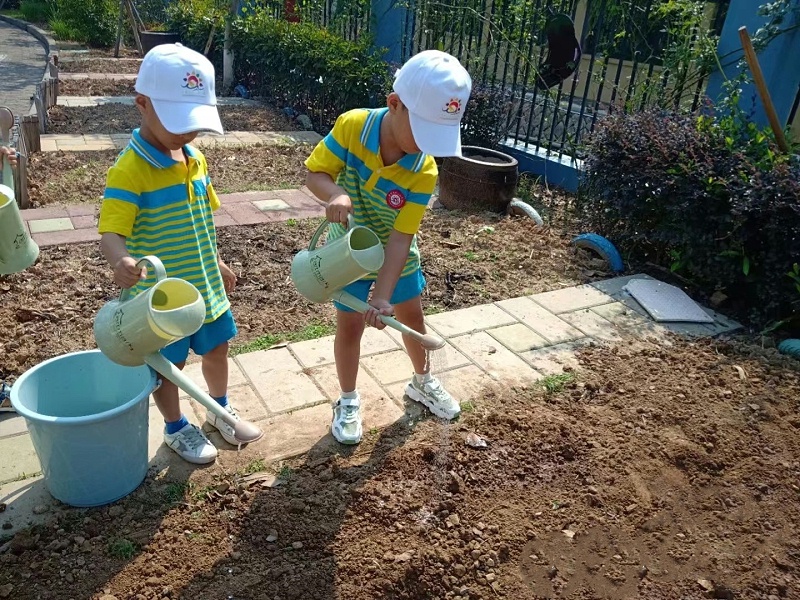 幼兒園小農場設計