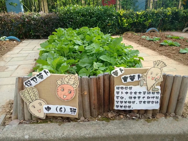 幼兒園小農場設計