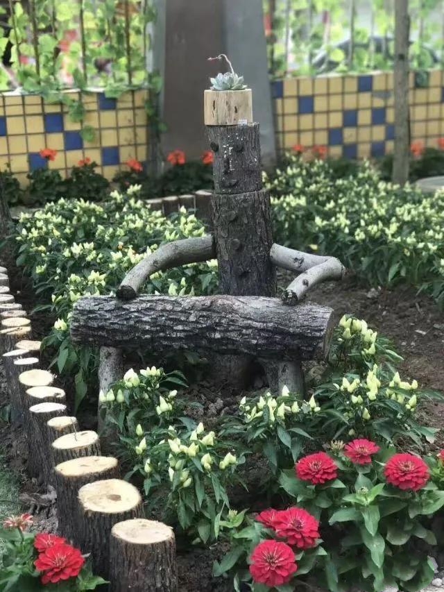 幼兒園自然角設(shè)計(jì)