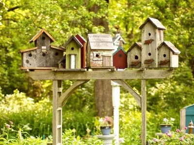 幼兒園自然角設(shè)計(jì)這樣做，讓人眼前一亮！